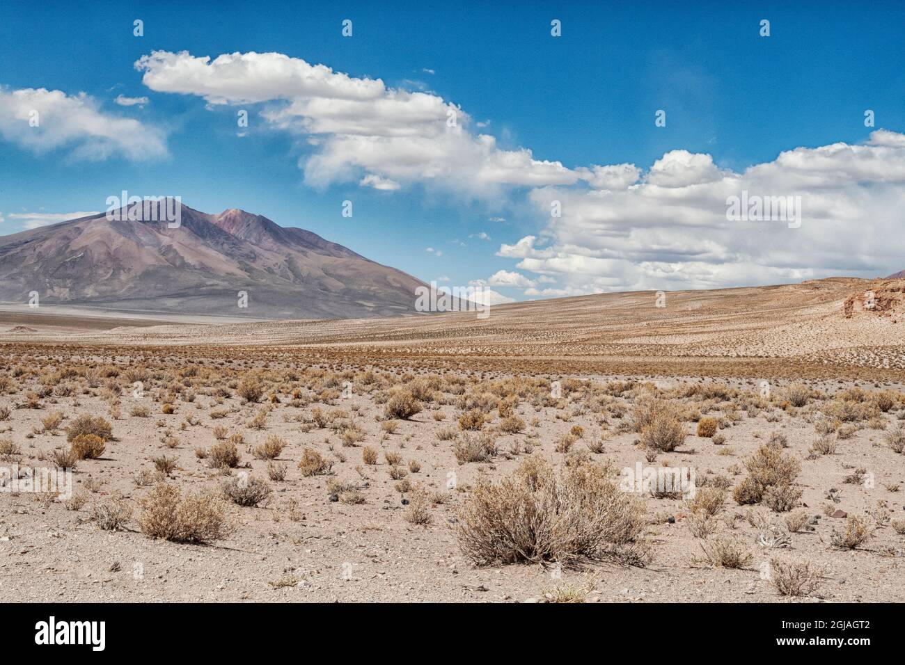 Bolivien, Atacama-Wüste. Die Wüste erstreckt sich so weit das Auge reicht. Stockfoto
