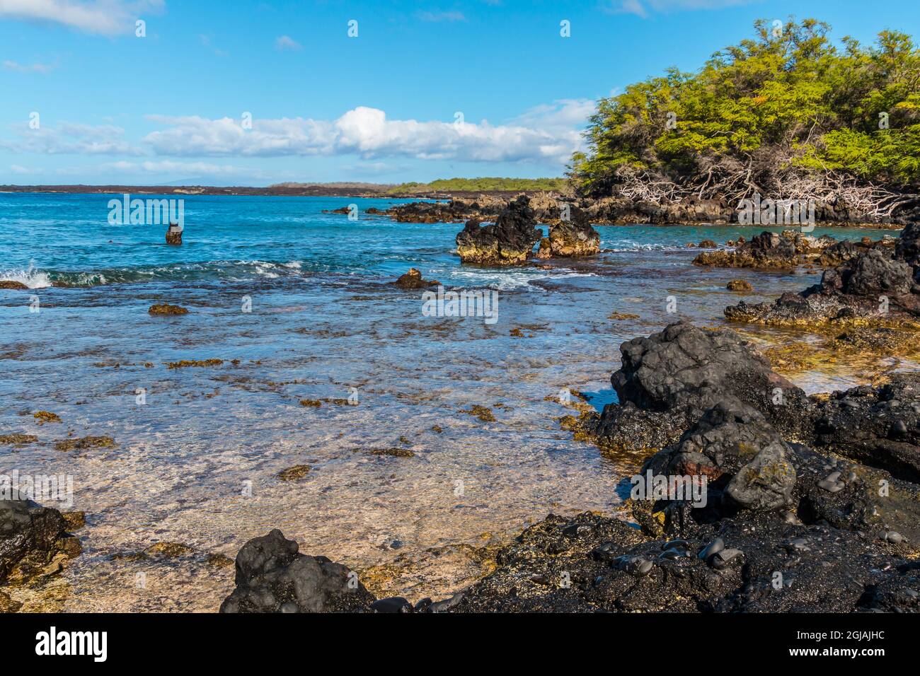 Kanaio Beach und das blaue Wasser der La Perouse Bay, Makena-La Perouse State Park, Maui, Hawaii, USA Stockfoto