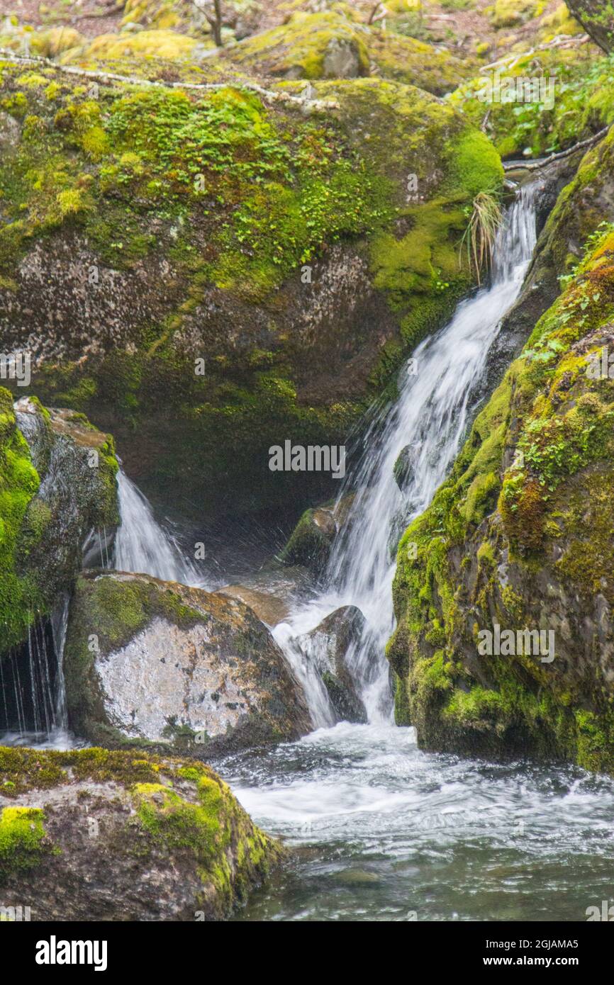 Das Hotel liegt im Parc Nacional, wird diese Gegend Cascada Salta wegen der "springenden" Wasserfälle genannt. Stockfoto