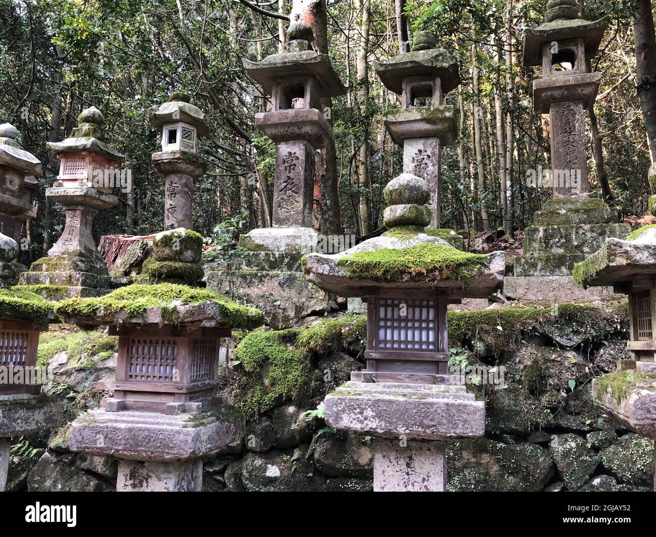 Steinlaternen am Kasuga-Schrein Nara Japan Stockfoto