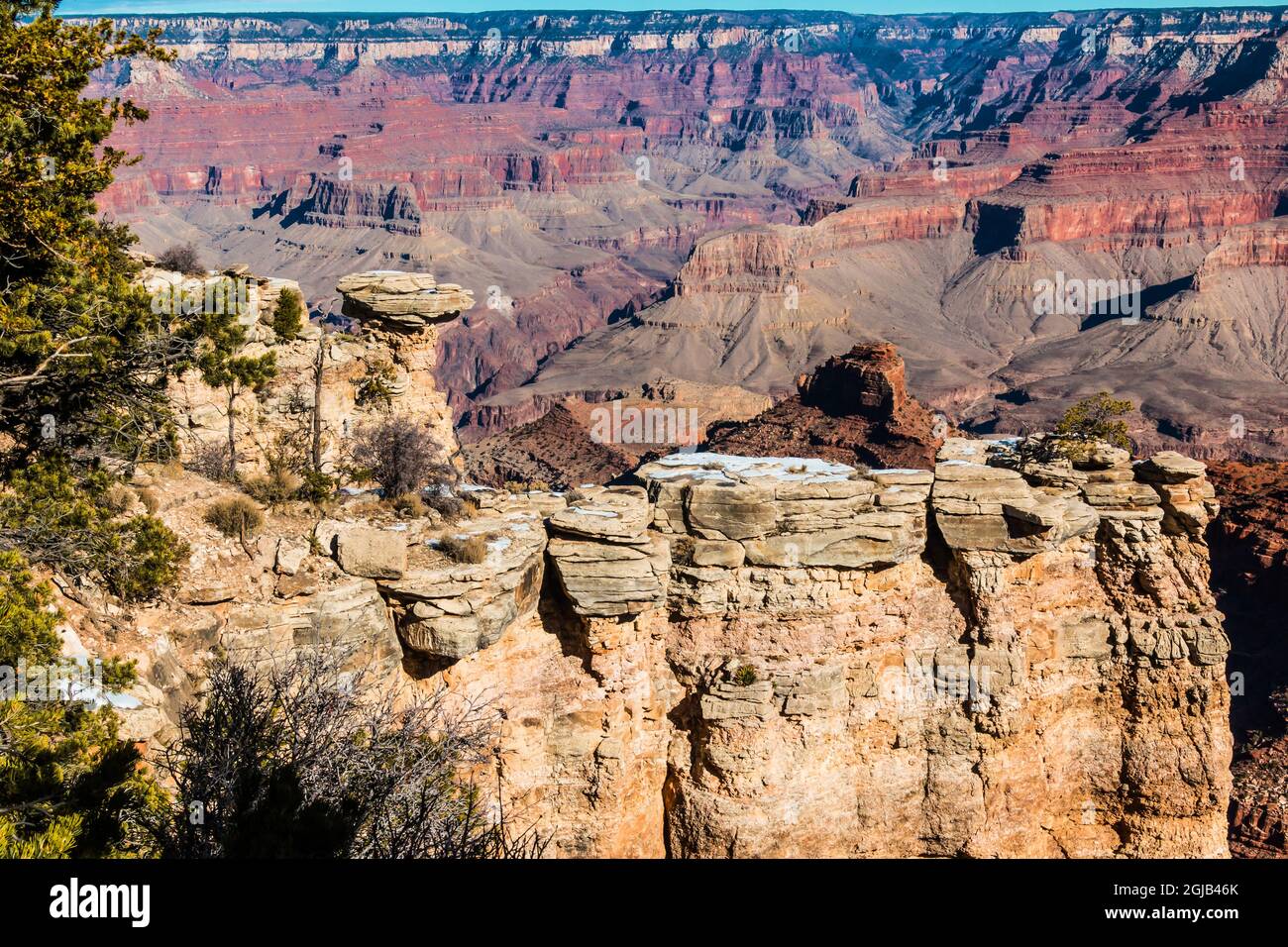 Kaibab Kalksteinsäulen am Mather Point am Südrand, Grand Canyon National Park, Arizona, USA Stockfoto