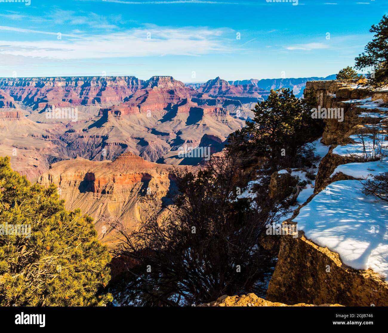 Pinyon Pinien und schneebedeckte Kalksteinklippen am Südrand, Grand Canyon National Park, Arizona, USA Stockfoto