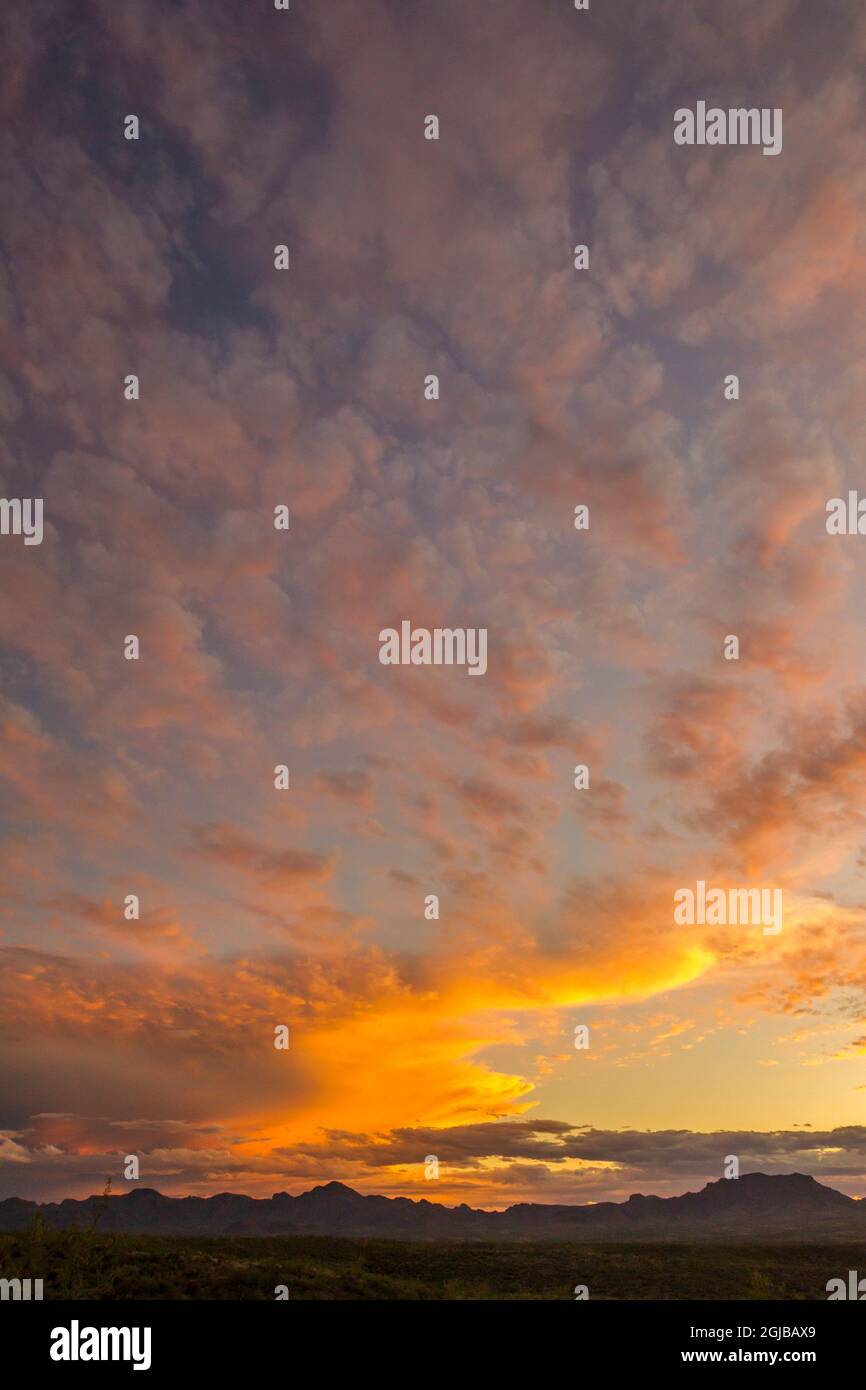 USA, Arizona, Santa Cruz County. Santa Rita Mountains bei Sonnenuntergang. Kredit als: Cathy & Gordon Illg / Jaynes Gallery / DanitaDelimont.com Stockfoto