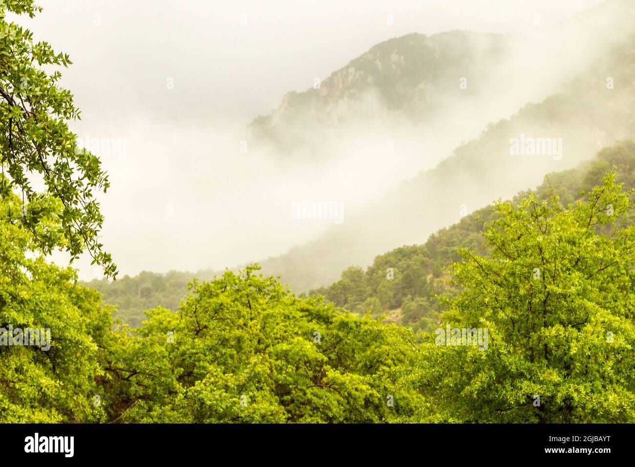 USA, Arizona, Santa Cruz County. Regen in den Santa Rita Bergen. Kredit als: Cathy & Gordon Illg / Jaynes Gallery / DanitaDelimont.com Stockfoto