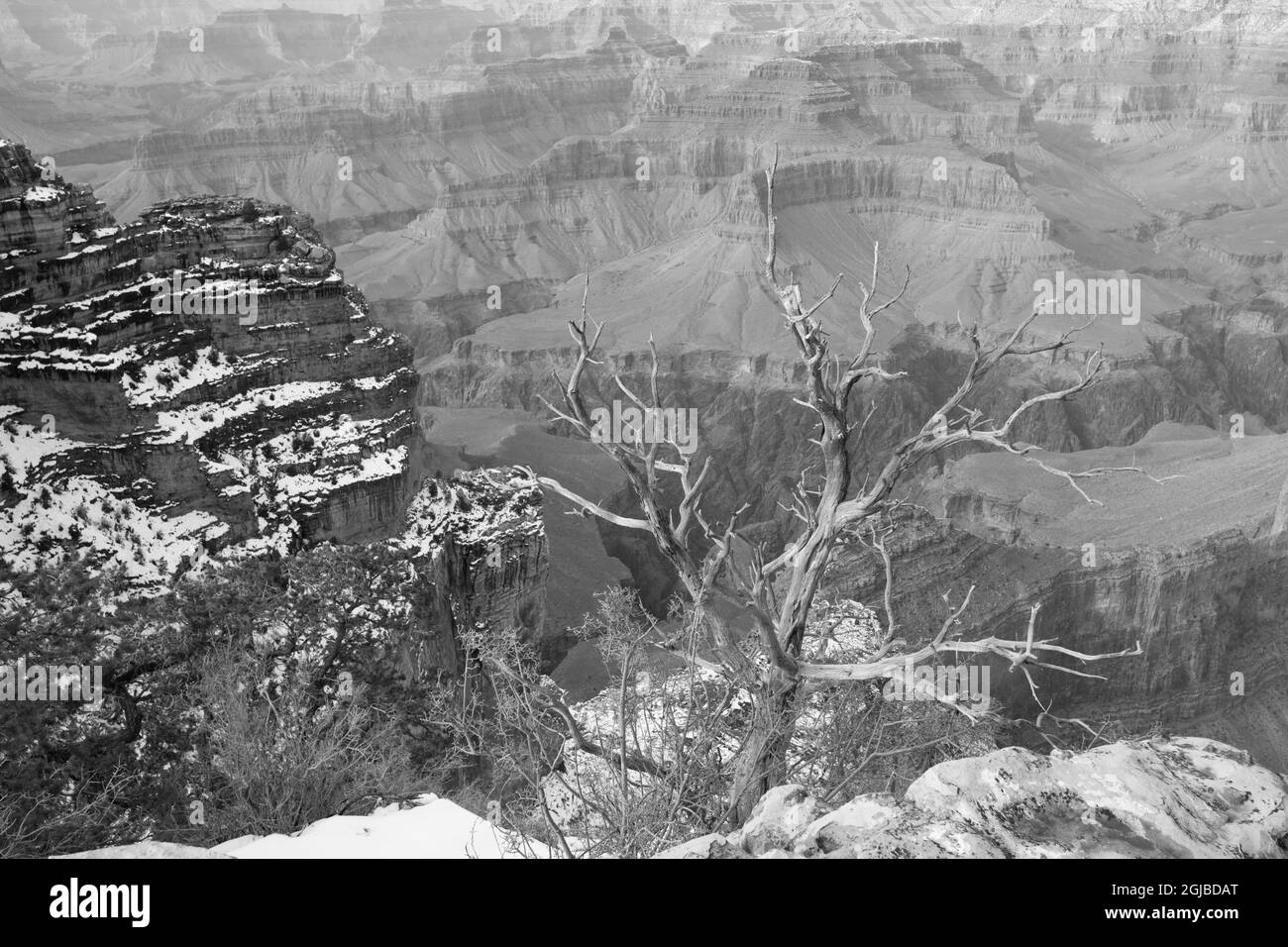 Powell Point, Grand Canyon National Park, Arizona, USA Stockfoto