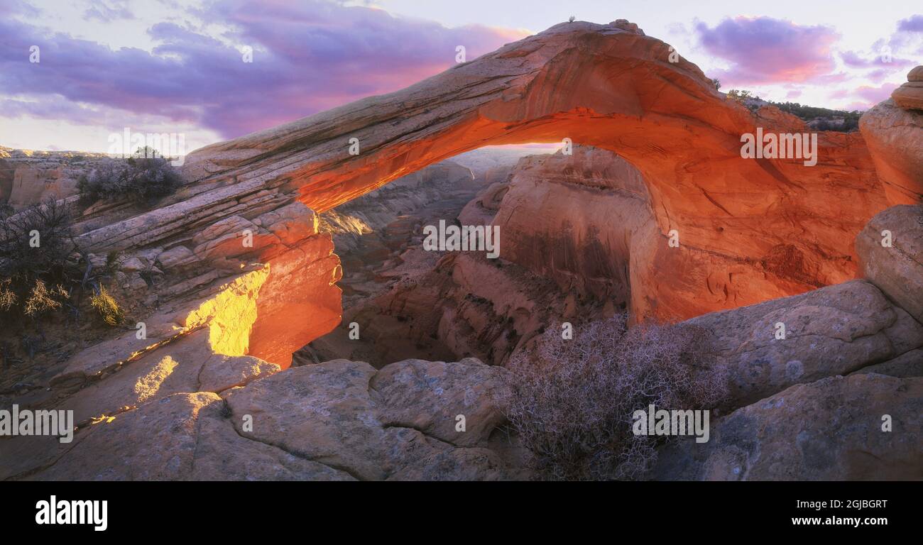 Der Eierschalenbogen in Arizona bietet die perfekte Kulisse für den Sonnenuntergang am Thanksgiving-Abend. Stockfoto