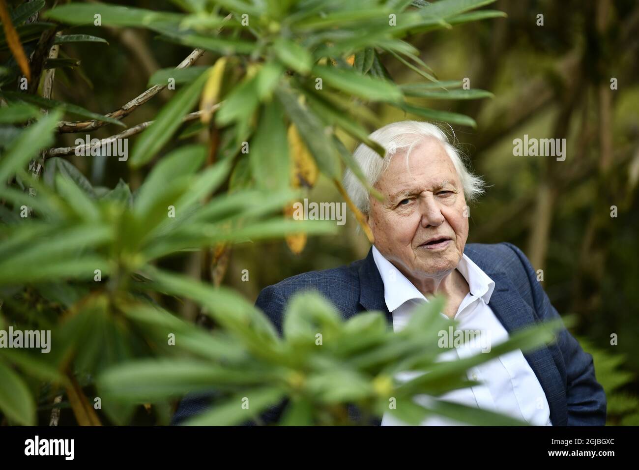 GÖTEBORG 2018-09-06 Sir David Attenborough wird am Donnerstag im Botanischen Garten in Göteborg, Schweden, gesehen. Sir Attenborough ist in Schweden, um während des jährlichen Abendessens „The Perfect World Foundations“ eine Auszeichnung entgegenzunehmen. Foto BjÃ¶rn Larsson Rosvall / TT kod 9200 Stockfoto