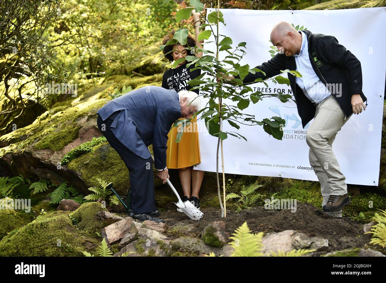 GÖTEBORG 2018-09-06 Sir David Attenborough wird am Donnerstag im Botanischen Garten in Göteborg, Schweden, einen Magnolienbaum Pflanzen sehen. Sir Attenborough ist in Schweden, um während des jährlichen Abendessens „The Perfect World Foundations“ eine Auszeichnung entgegenzunehmen. Foto Bjorn Larsson Rosvall / TT kod 9200 Stockfoto