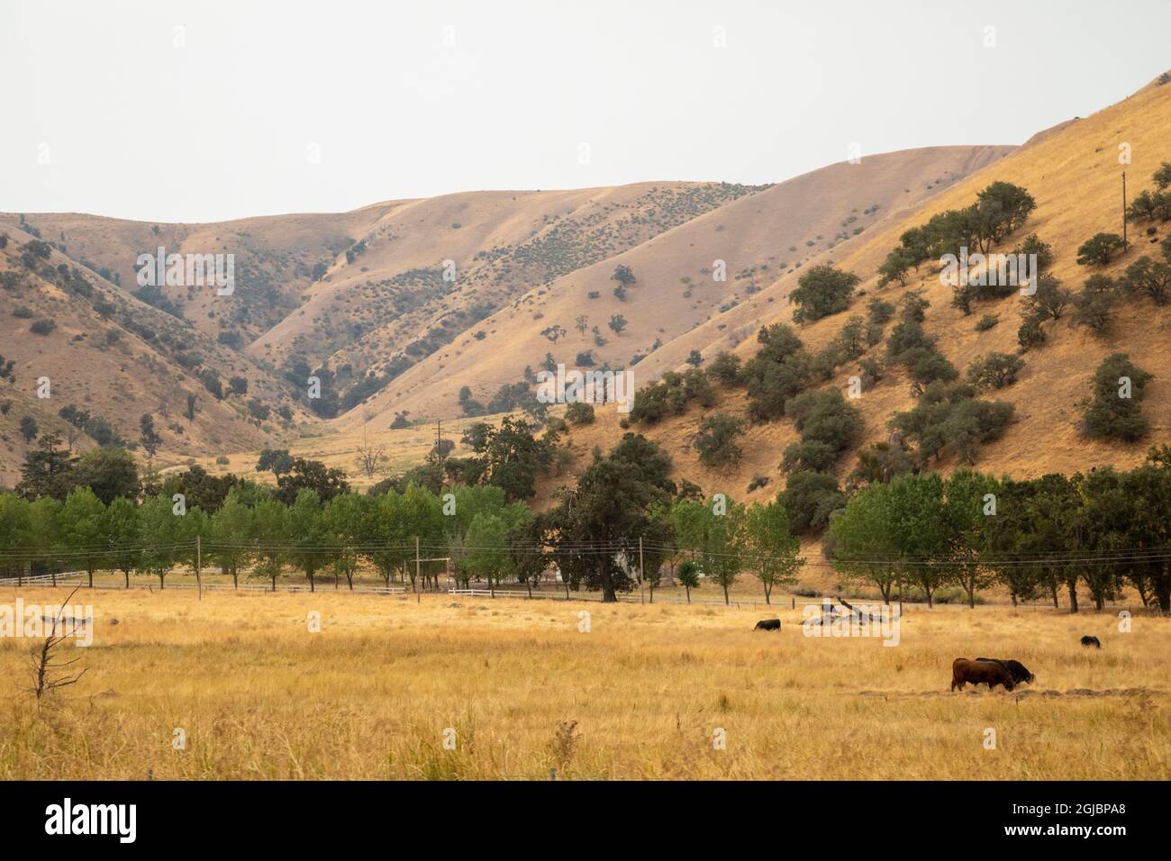 USA, Kalifornien, Kern County. Landschaft von Wiesen und Hügeln. Stockfoto