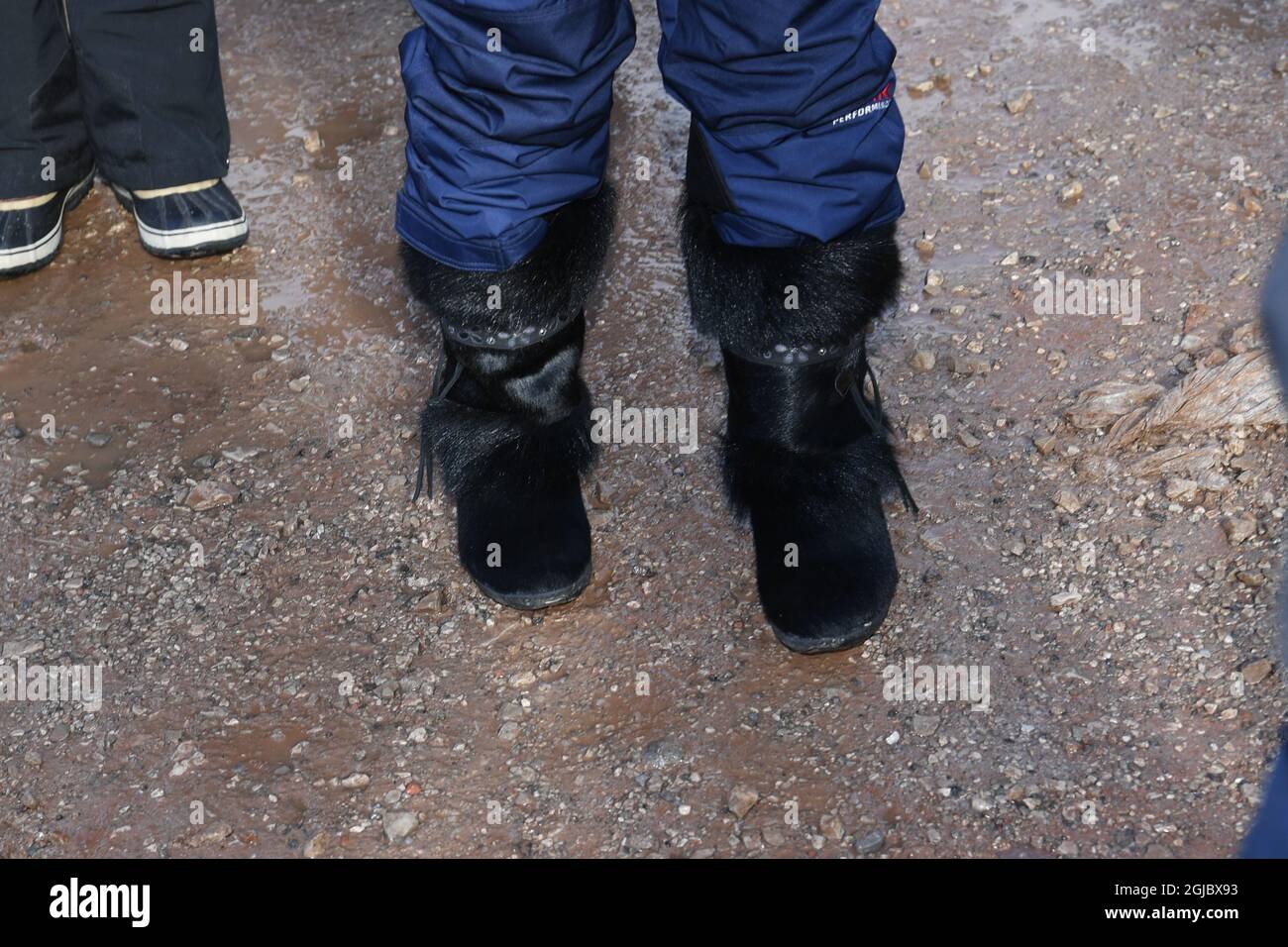 SEEFELD 20190223 Schwedens Königin Silvia bei der FIS Nordischen Skiweltmeisterschaft 2019 in Seefeld., Österreich. Foto Fredrik Sandberg / TT kod 10080 *** Stockfoto