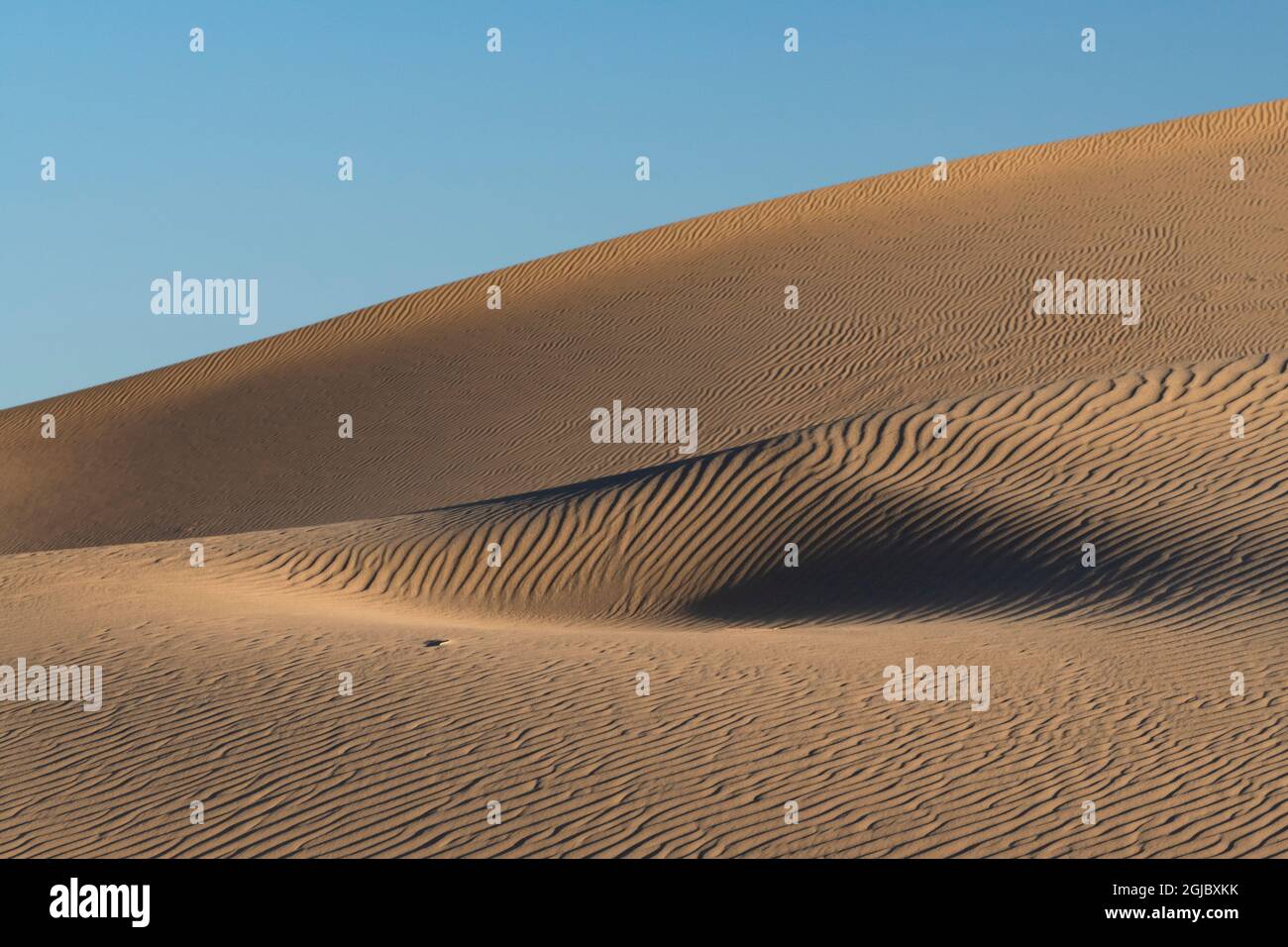 USA, Kalifornien. Sanddüne in der Wildnis von Adiz, Mojave Trails National Monument. Stockfoto