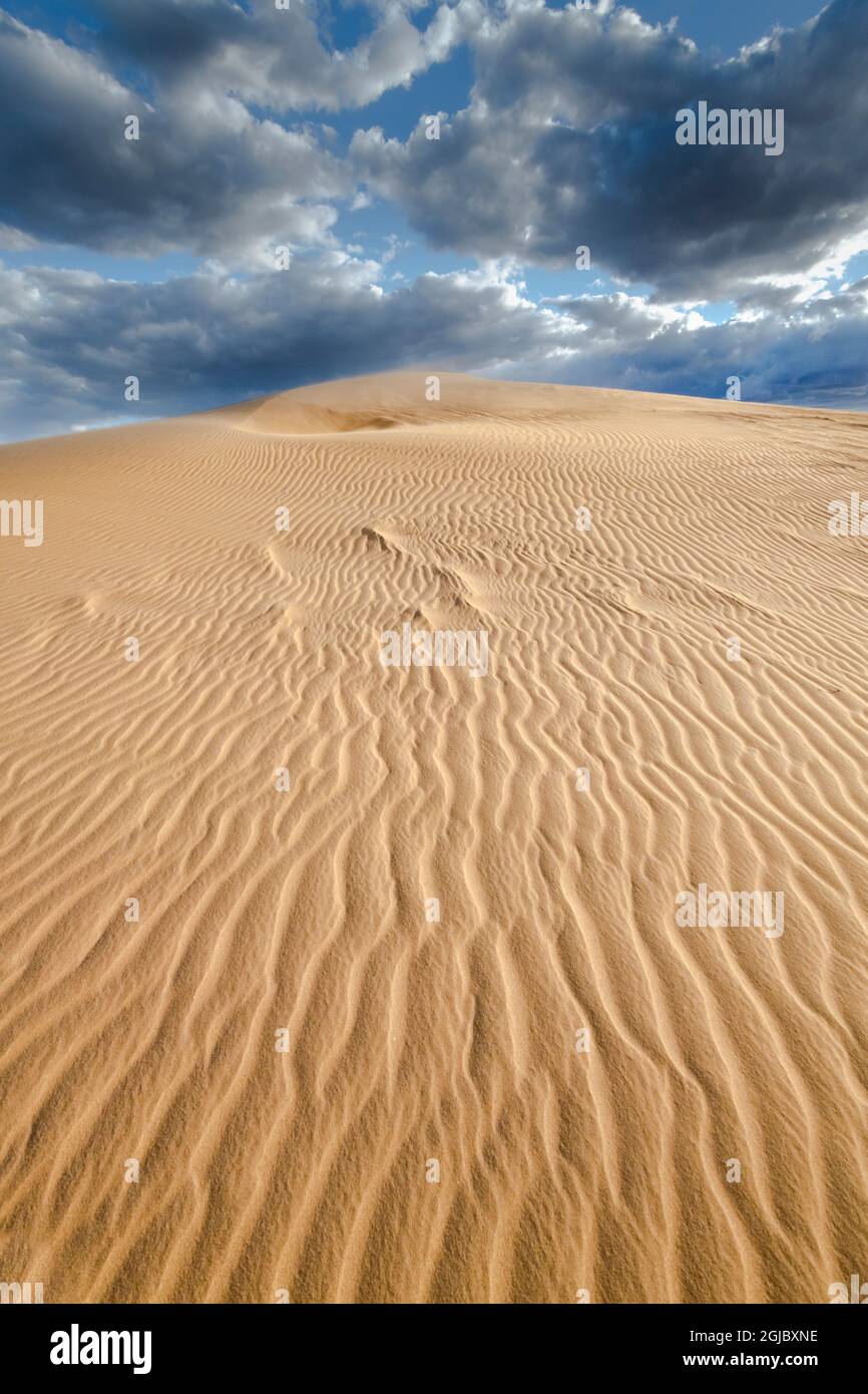 USA, Kalifornien. Sanddüne und Wolken, Wildnisgebiet von Adiz, Mojave Trails National Monument. Stockfoto
