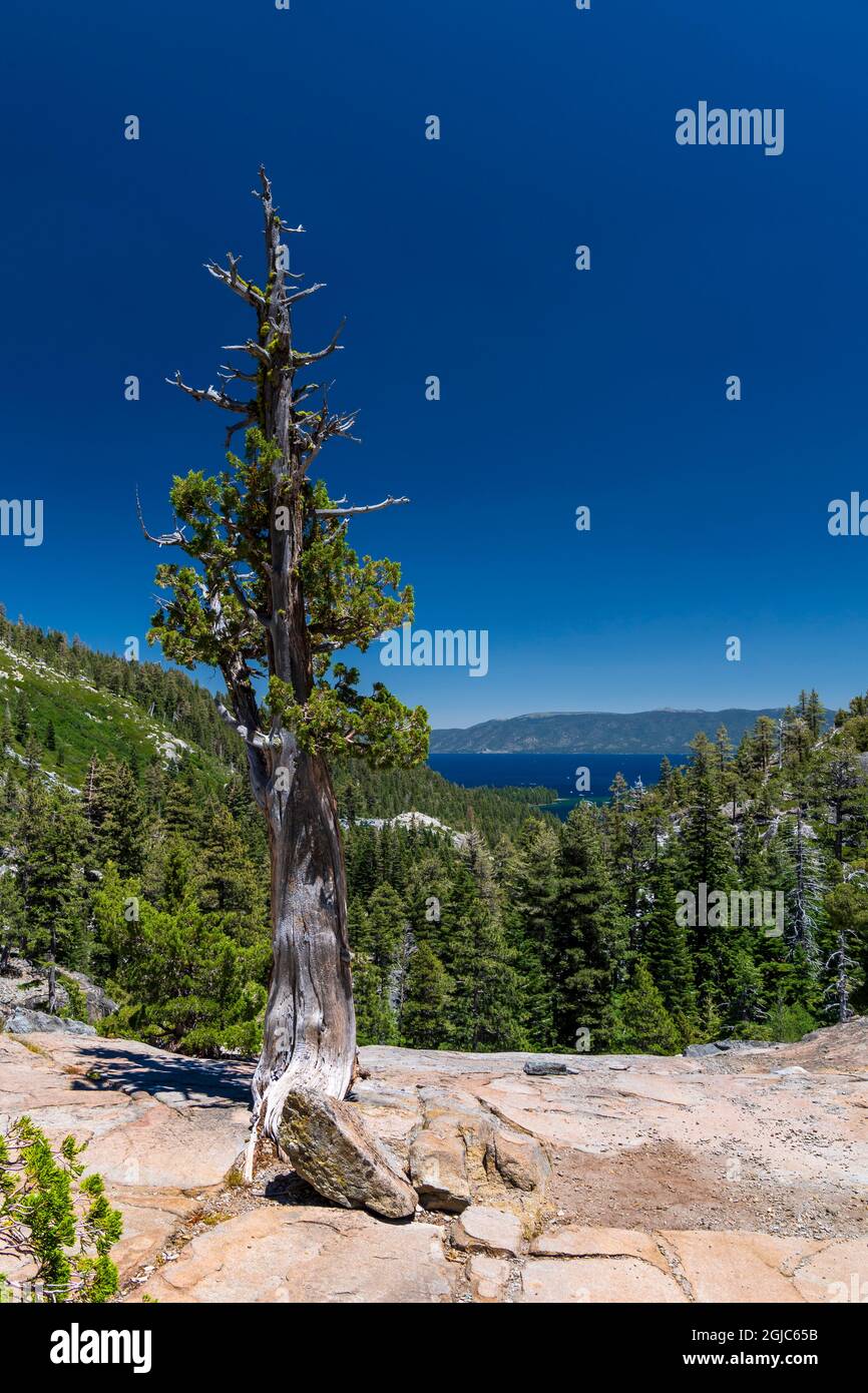 Eagle Lake Trail mit Blick auf Emerald Bay, Lake Tahoe, Kalifornien. Stockfoto