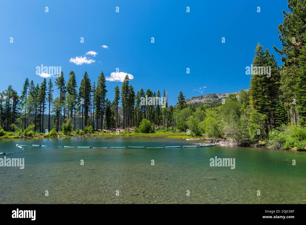 Fallen Leaf Lake in Lake Tahoe, Kalifornien, und tiefblauer Himmel, lebendige grüne Vegetation Stockfoto