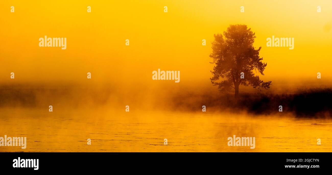 Sonnenaufgang am Morgen mit Bäumen und Fluss unter blauem Himmel und glühendem Nebel Stockfoto
