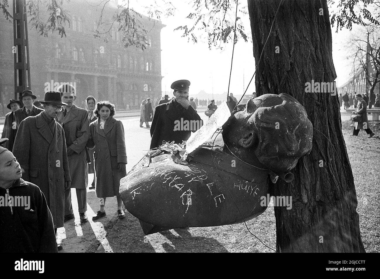 BUDAPEST 1956 Während der landesweiten Revolution gegen die ungarische Volksrepublik und ihre von der Sowjetunion auferlegte Politik, die vom 23. Oktober bis zum 10. November 1956 dauert, wird Am Dimitrow-Platz in der Budapester Straße in Ungarn eine Statue des bulgarischen kommunistischen Führers Georgi Dimitrov an einem Baum aufgehängt. Foto: Anders Engman / Bonnierarkivet / TT / kod: 3010 Stockfoto