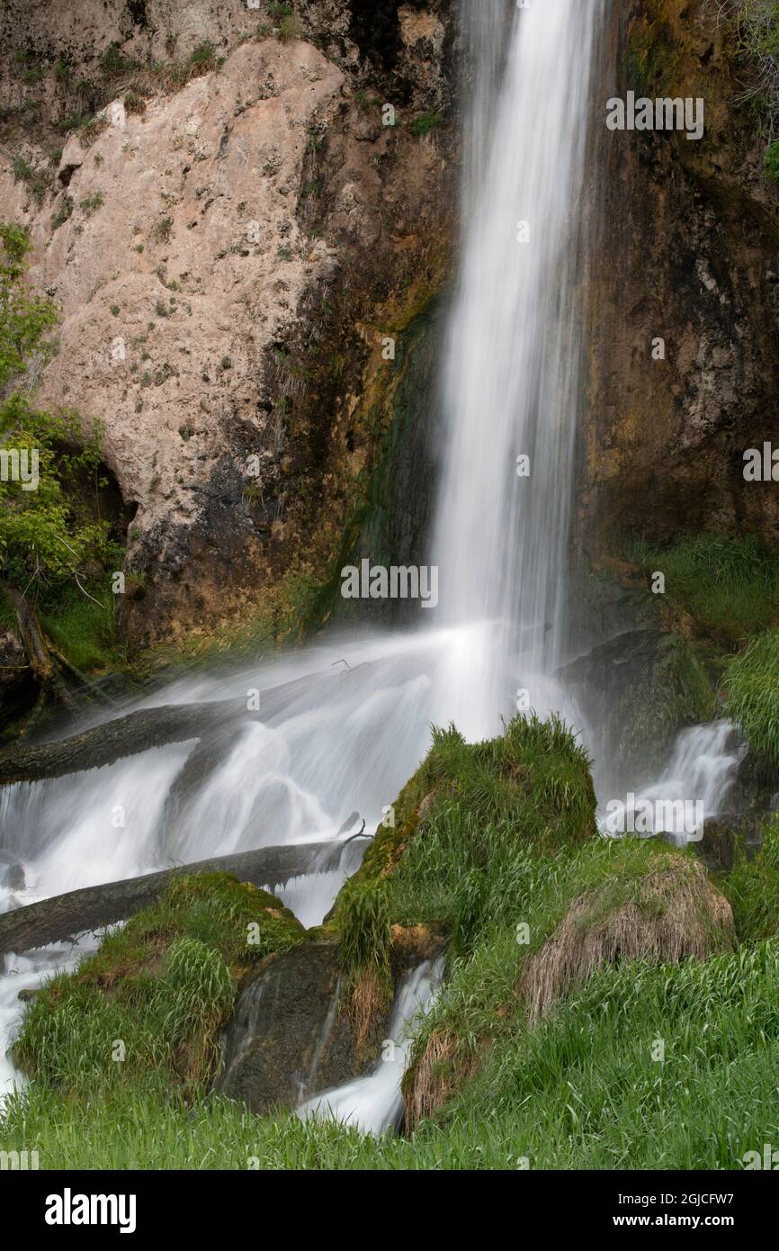 USA, Colorado. Rifle Falls, Detail, Rifle Falls State Park. Stockfoto