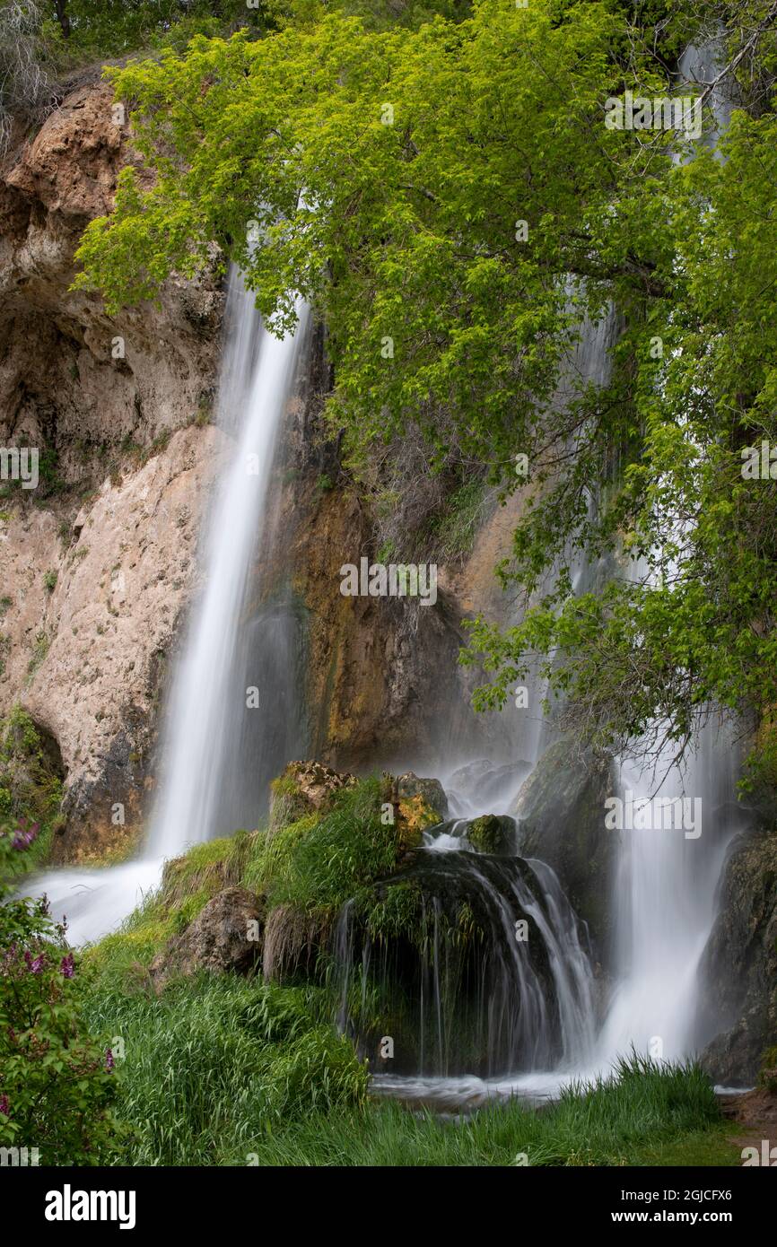 USA, Colorado. Rifle Falls, Detail, Rifle Falls State Park. Stockfoto