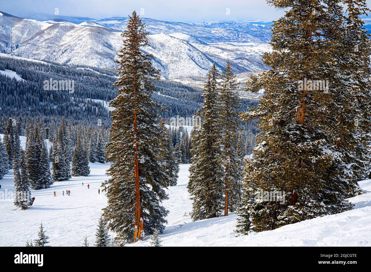 Winterszene auf dem Bull Run im Aspen Snowmass Ski Resort in Colorado. Stockfoto