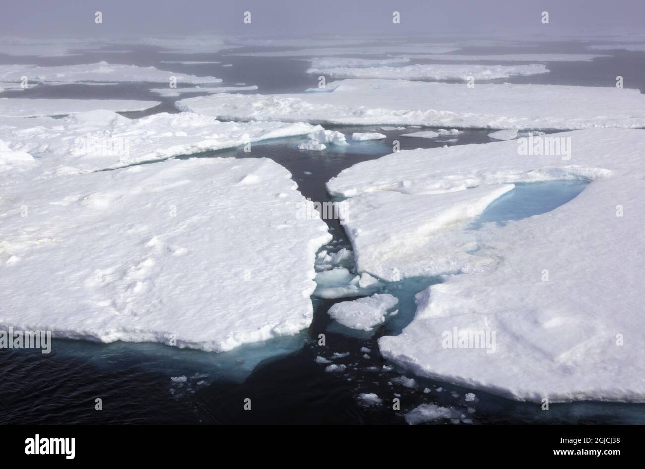 Ozean und Eis an der Ostküste Grönlands Arktischer Ozean, Eis berg, Klimawandel Umwelt globale Erwärmung Foto: Helena Larsson / TT / kod 2727 Stockfoto