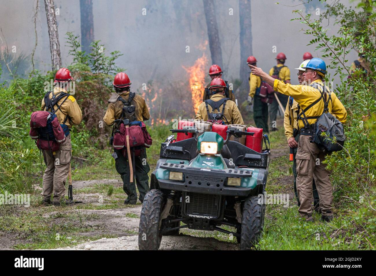 Feuerwehrleute beobachten das Brandverhalten und machen Pläne. Stockfoto