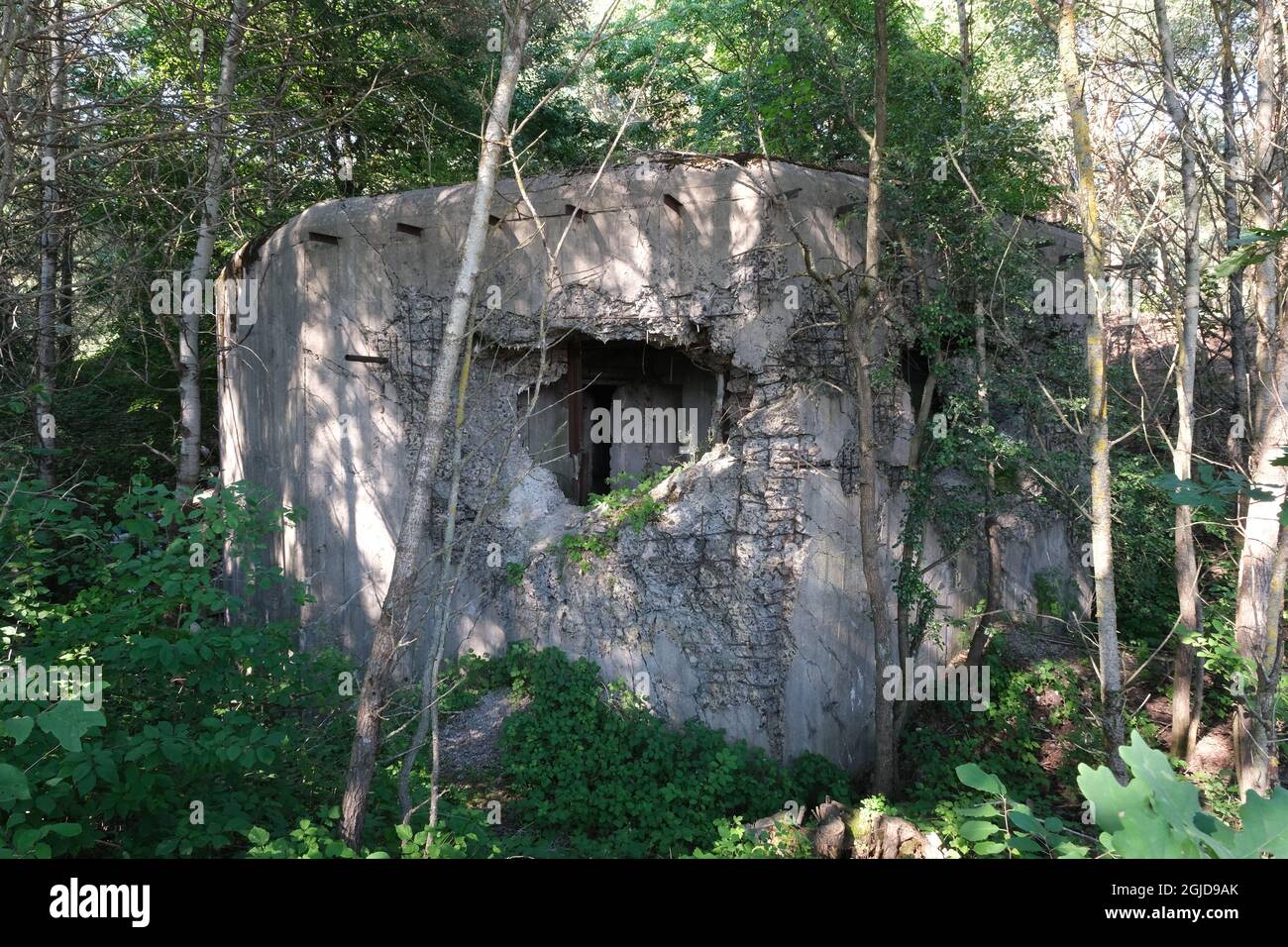 Anusin, Siemiatycze, Polen - 12. Juli 2021: Molotow-Linie, gebaut von der Sowjetunion in der Zeit von 1940-1941 (russische Verteidigungslinie). Bunker Stockfoto