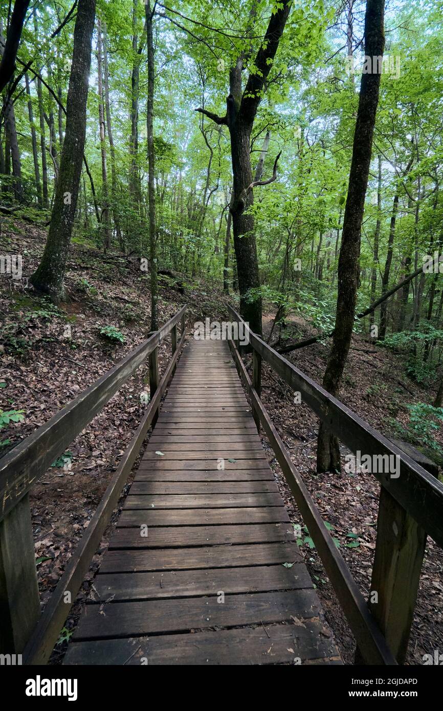 USA, Georgia, Amicalola Falls State Park. Ein Zuwanderweg zur Südstation des Appalachian Trail. Stockfoto