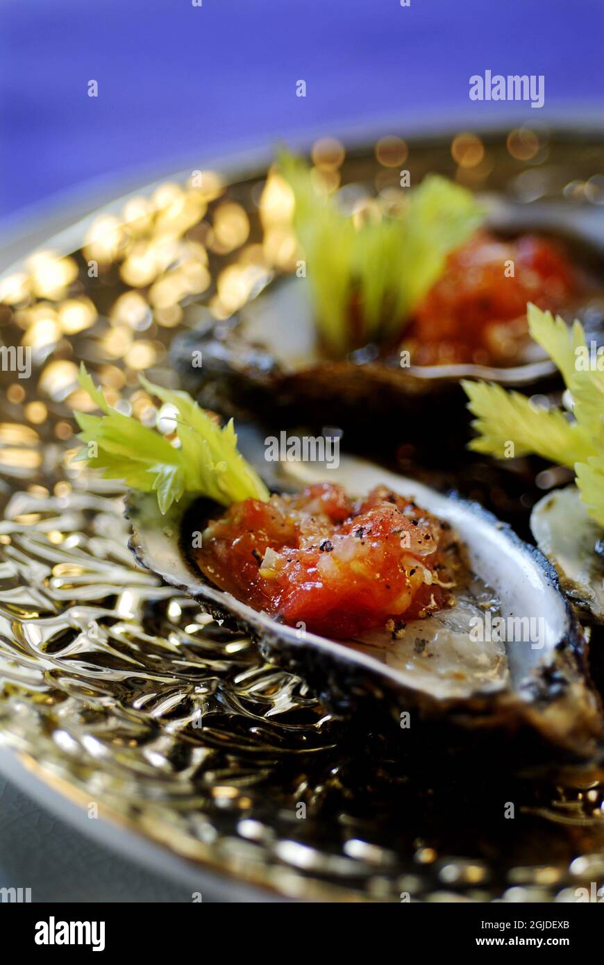 Austern mit Blutiger Mary-Vinaigrette. Stockfoto