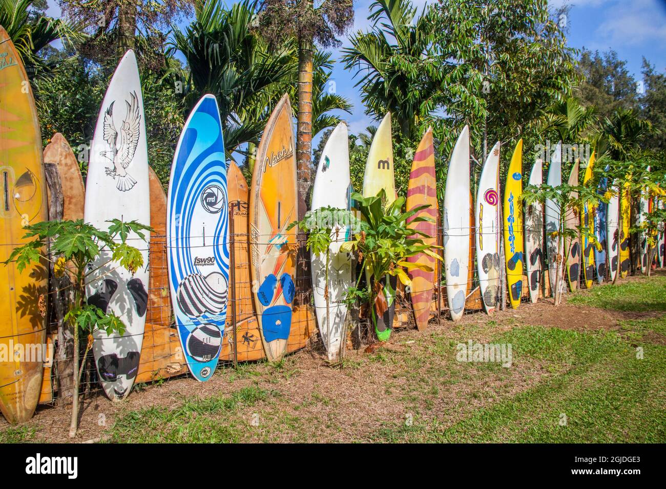 USA, Hawaii, Maui, in der Nähe von Makawao Zaun aus Surfbrettern Stockfoto
