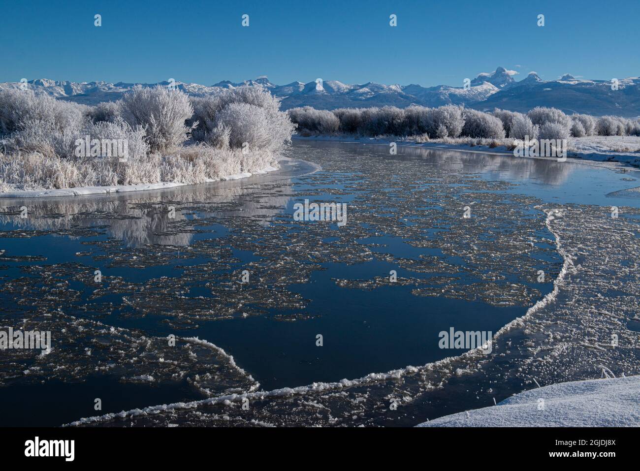 Schnee, Eis und Reif entlang der Kurve des Teton River in der Nähe von Driggs, Idaho Stockfoto