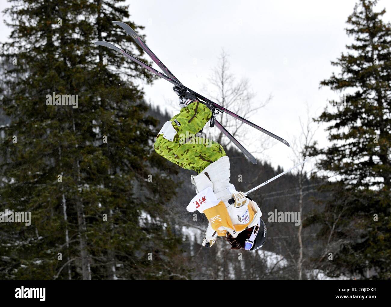 Aiko Uemura, Japan, springt um das Freestyle Skiing Frauen Dual Moguls World Cup Event in Are, Schweden zu gewinnen. Stockfoto