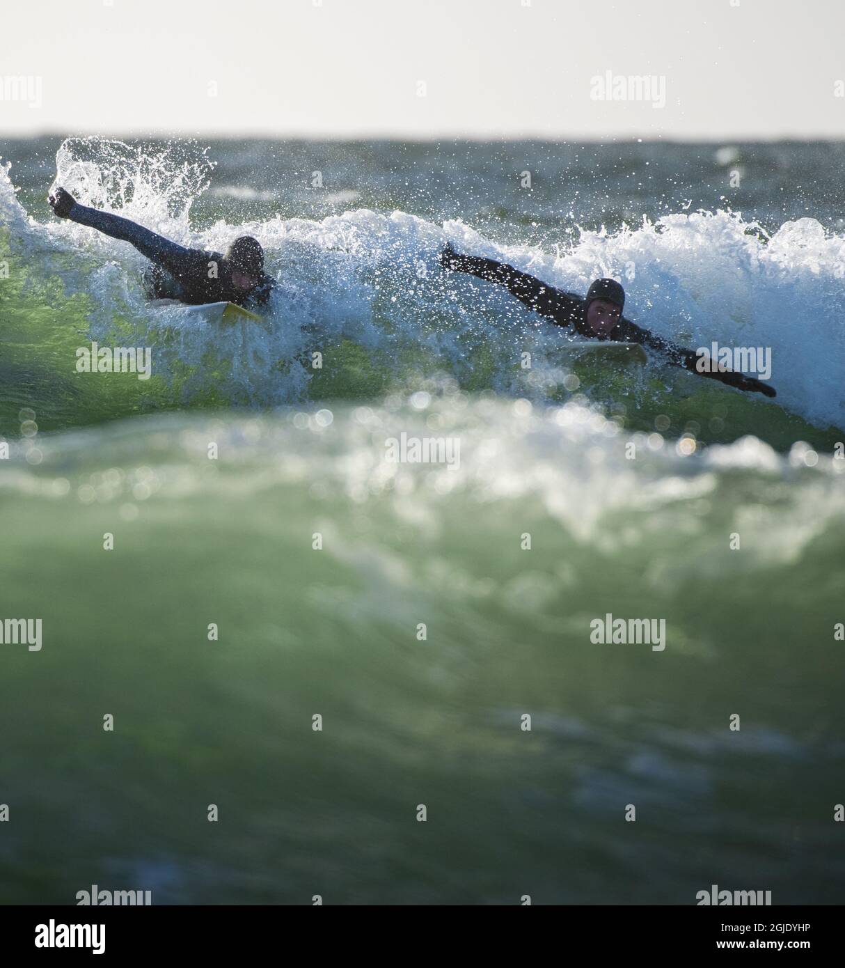 Surfer genießen am 23. Januar 2021 die Sonne, die Wellen und das milde Wetter auf Toro, Nynashamn, im Stockholmer Archipel. Foto: Pontus Orre / TT Code 2559 Stockfoto