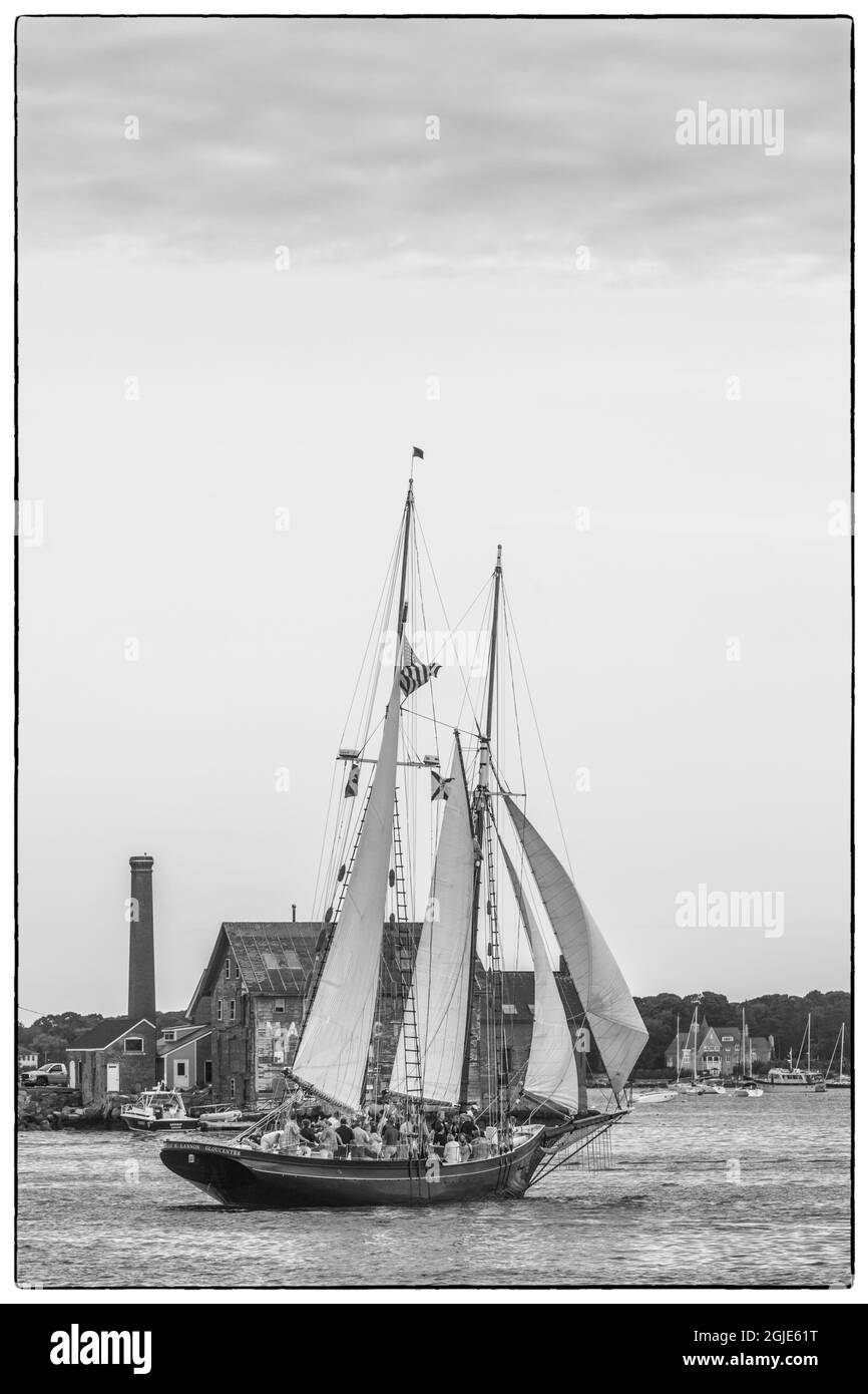 USA, Massachusetts, Cape Ann, Gloucester. Gloucester Schooner Festival, Schoners in Gloucester Harbour bei Dämmerung Stockfoto