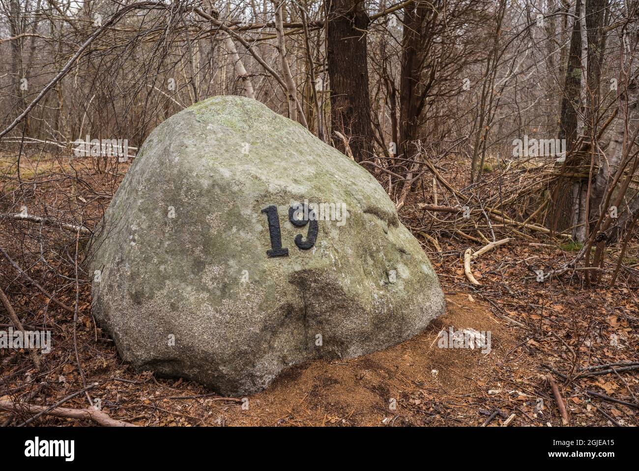 USA, Massachusetts, Cape Ann, Gloucester. Dogtown Commons, Hausgrundmarke 19, Ruinen eines alten Anwesens Stockfoto