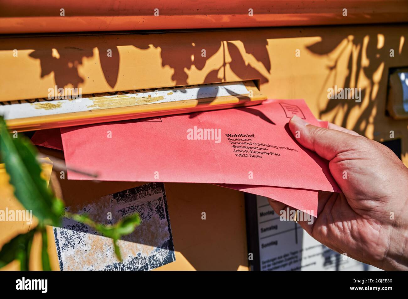 Berlin, Deutschland - 09. September 2021: Ein Wahlbrief wird für die Bundestagswahl in Deutschland in den Briefkasten eines Briefkastens geworfen. Stockfoto