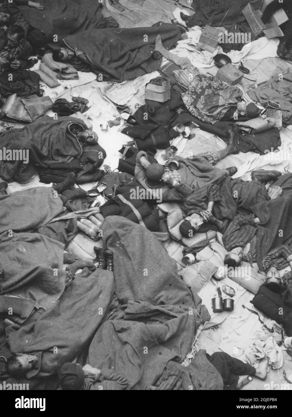 Befreite Gefangene aus deutschen Konzentrationslagern kommen mit dem Boot in Malmö, Schweden an. Stockfoto