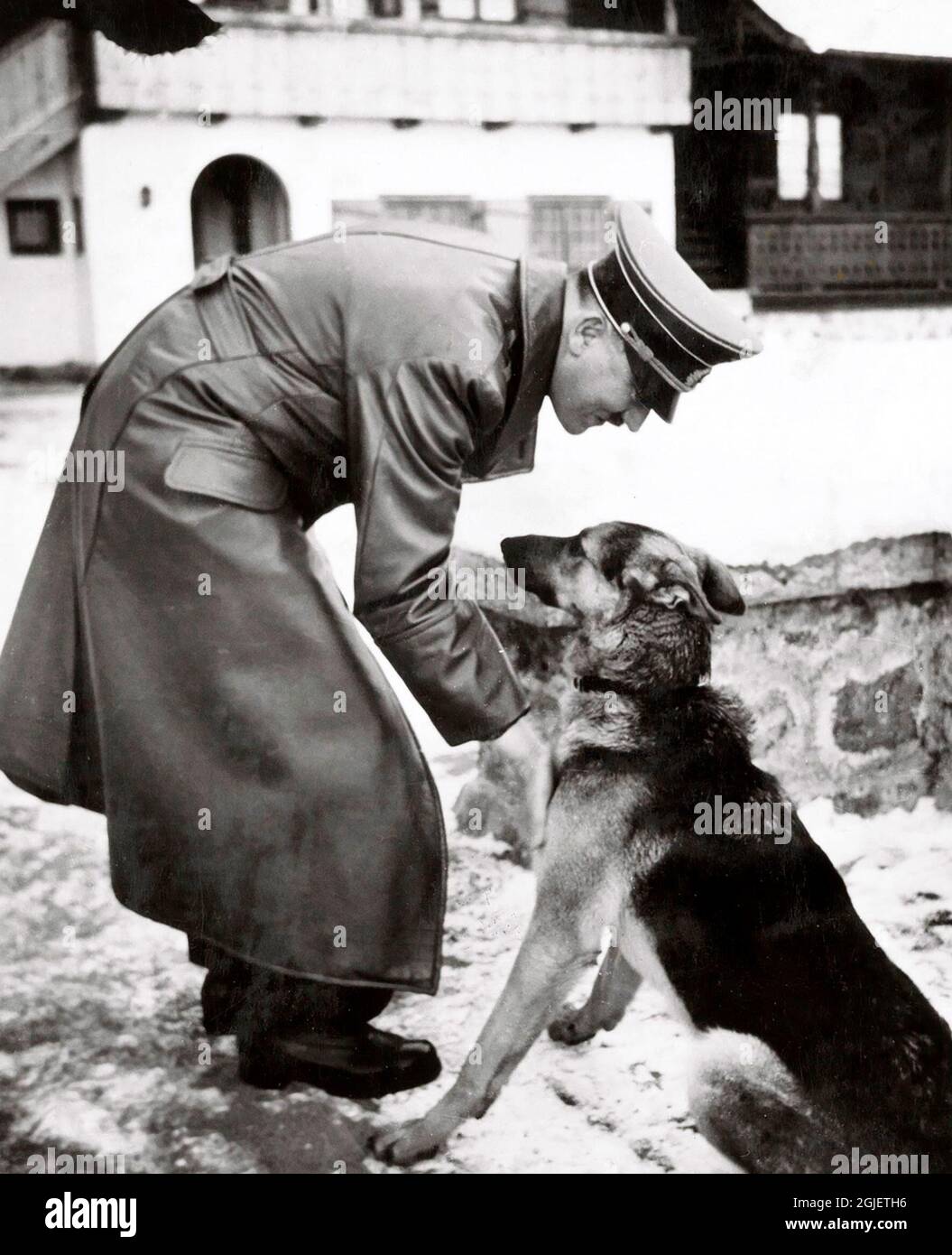 Adolf Hitler (1889-1945) mit seinem Hund, ca. 1939/40. Das Foto stammt aus Eva Brauns Fotoalbum. Stockfoto