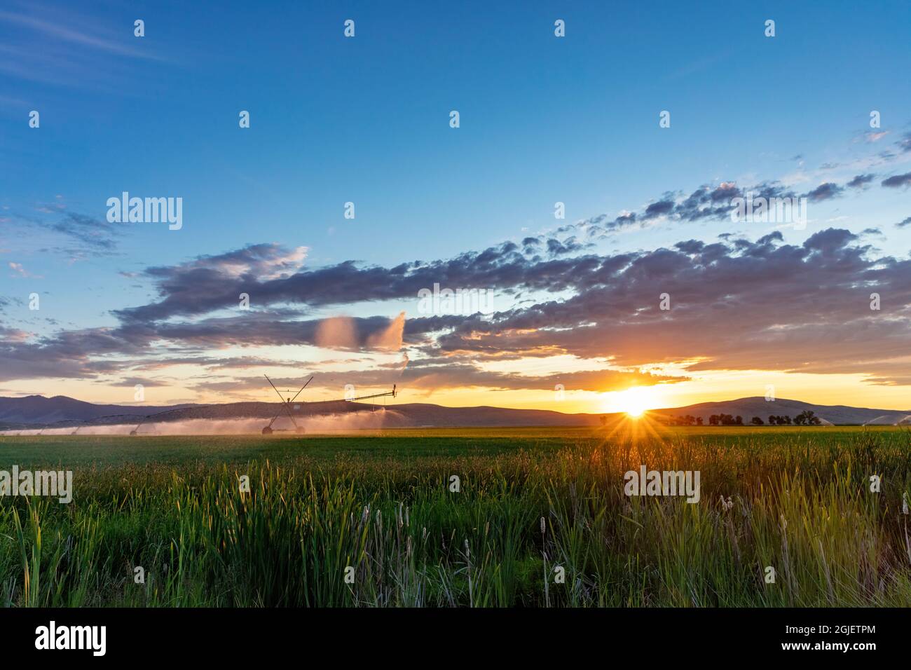 Pivot Bewässerung bei Sonnenuntergang im Mission Valley in der Nähe von Charlo, Montana, USA. Stockfoto