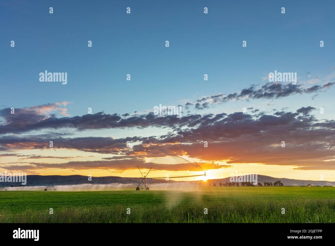 Pivot Bewässerung bei Sonnenuntergang im Mission Valley in der Nähe von Charlo, Montana, USA. Stockfoto