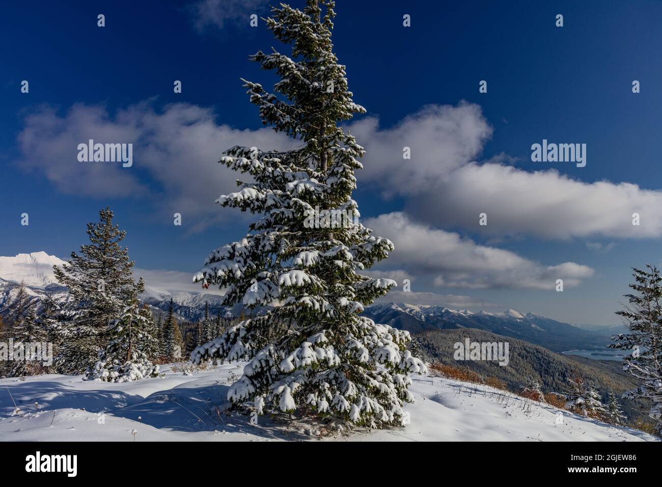 Blick von der Spitze des Firefighter Mountain of Hungry Horse Reservoir im Flathead National Forest, Montana, USA Stockfoto