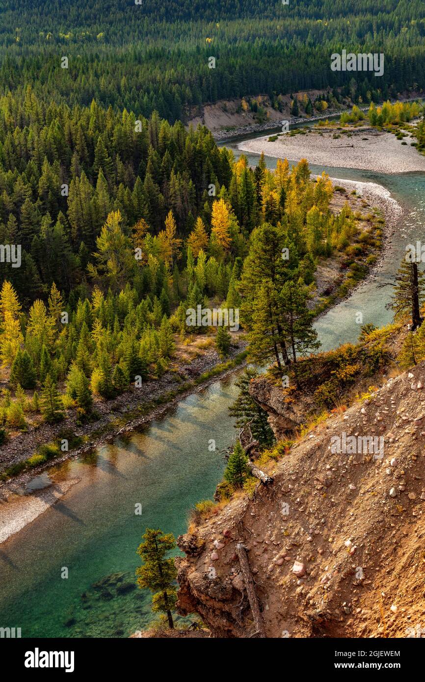 Der South Fork Flathead River im Flathead National Forest, Montana, USA Stockfoto