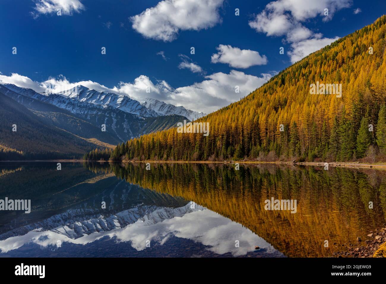 Der Great Northern Mountain spiegelt sich im Herbst im Flathead National Forest, Montana, USA, in Stanton Lake wider Stockfoto