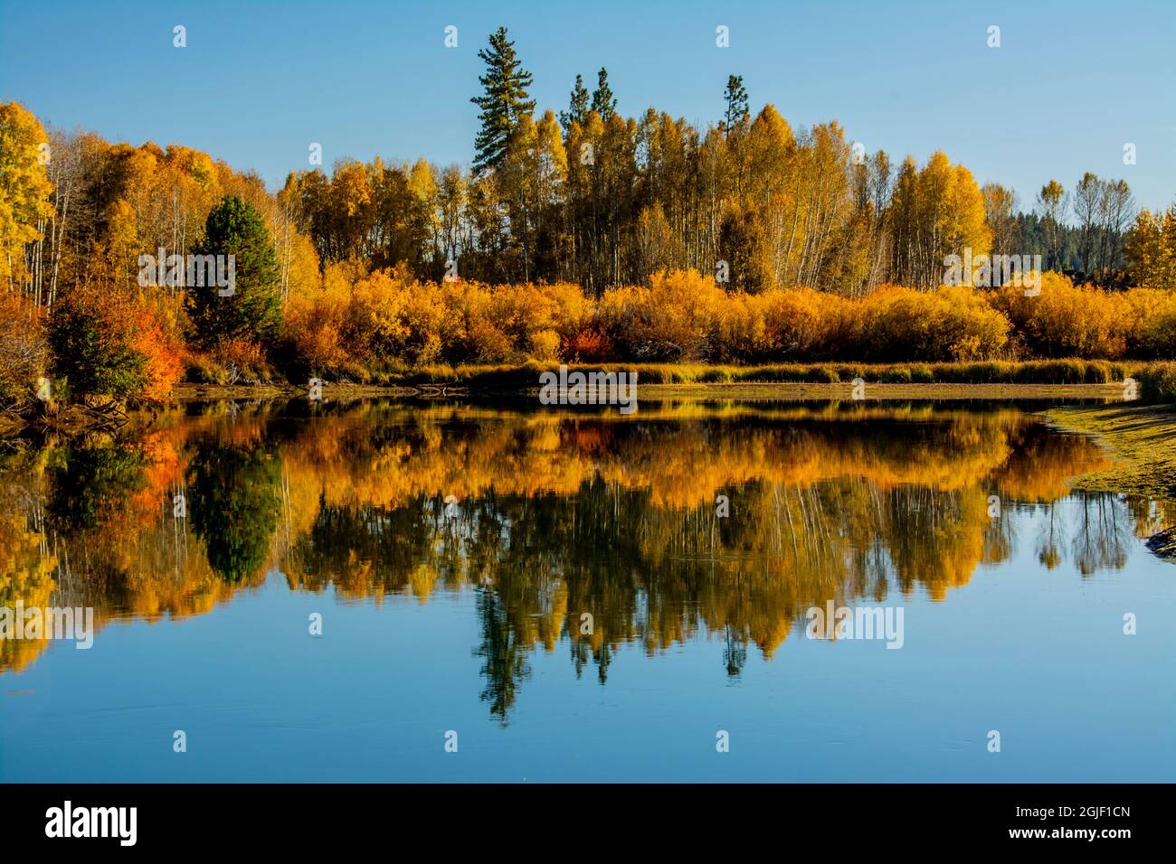 Herbstreflexionen, Dillon Falls Trail, Deschutes River, Deschutes National Forest, Oregon, USA Stockfoto