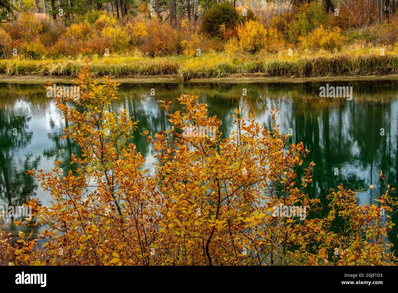 Herbst, Lava Island Falls Trail, Deschutes River, Deschutes National Forest, Oregon, USA Stockfoto