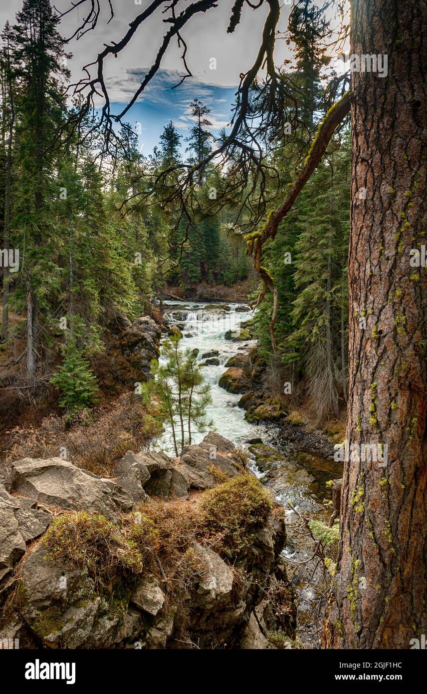 USA, Oregon, Deschutes National Forest, Deschutes River Overlook Stockfoto