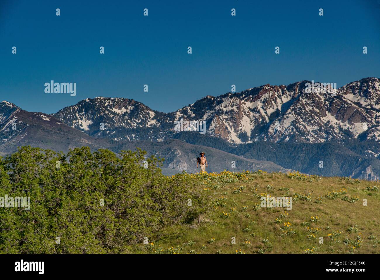 Barechested, Männer wandern in Wasatch Foothills in der Nähe von Salt Lake City, Utah, USA. (MR) Stockfoto
