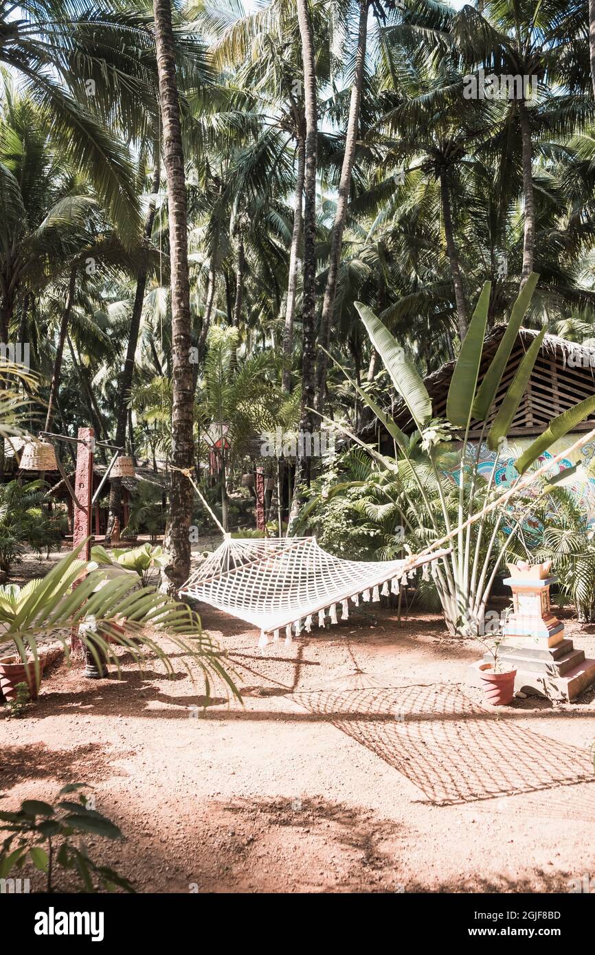 Hängematte im tropischen Wald mit Palmen. Tropischer Blick. Entspannen und entspannen Stockfoto
