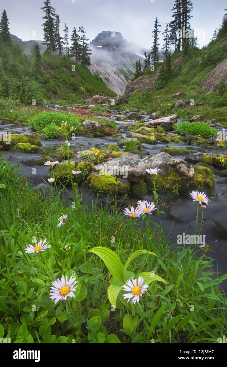 USA, Staat Washington. Bagley Creek, Heather Meadows Recreation Area, North Cascades. Stockfoto