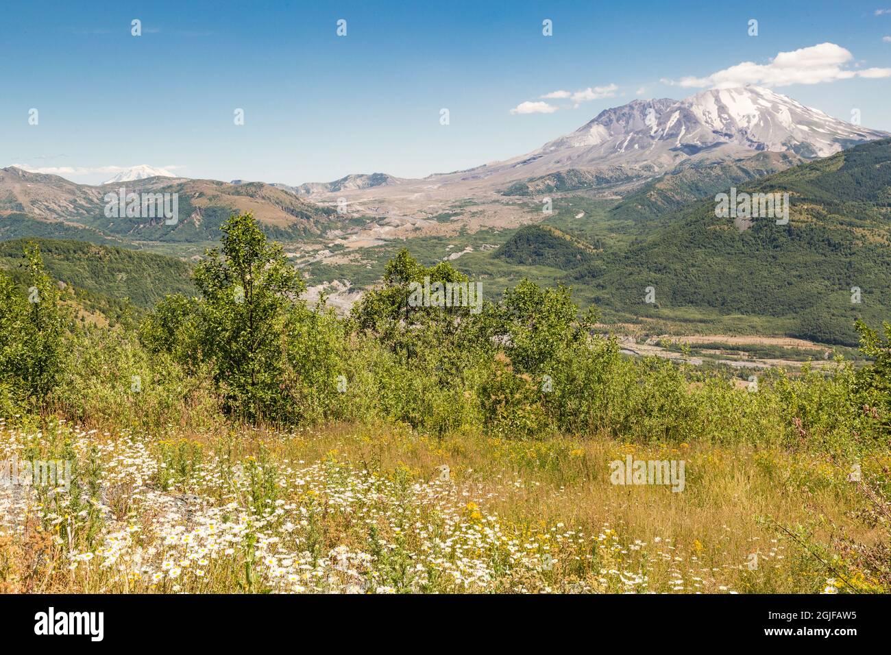 USA, Washington State, Skamania County. Mount St. Helens oder Louwala-Clough ist ein aktiver Stratovulkan. Stockfoto