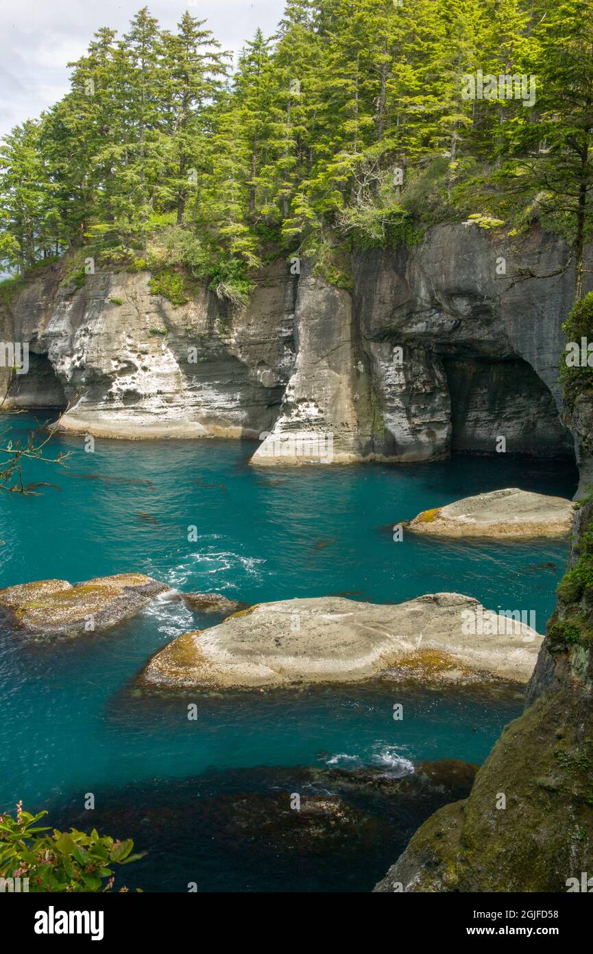 Makah Indianerreservat in der Nähe von Neah Bay, Washington, USA. Blick auf den Pazifischen Ozean vom Cape Flattery Trail. Stockfoto